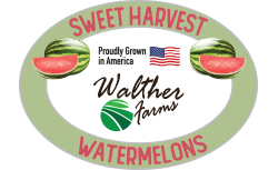 wff3-sweet-hrv-wmelon-logo-color